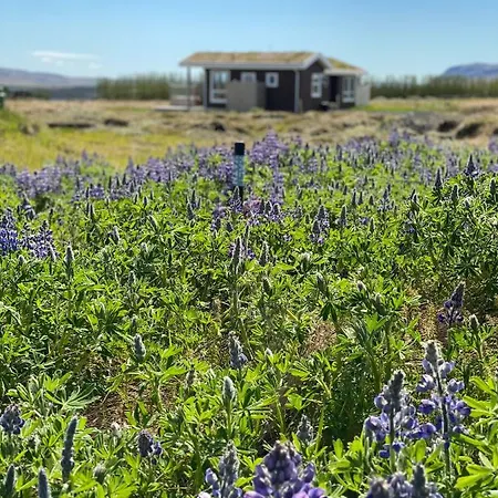 Blue View Cabin 5B With Private Hot Tub Reykholt  Exterior photo